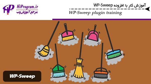 آموزش کار با افزونه WP-Sweep